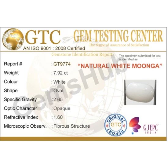 7.92 ct Natural Certified White Coral/सफ़ेद मूंगा 7.92 ct Natural Certified White Coral/सफ़ेद मूंगा