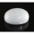 White Coral