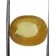 7.28 ct/8.25 ratti Natural Certified Bangkok Pukhraj/Yellow Sapphire