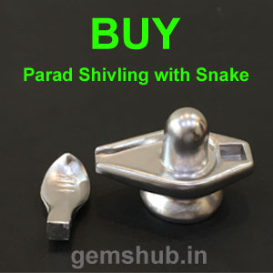 Buy Parad Shivling
