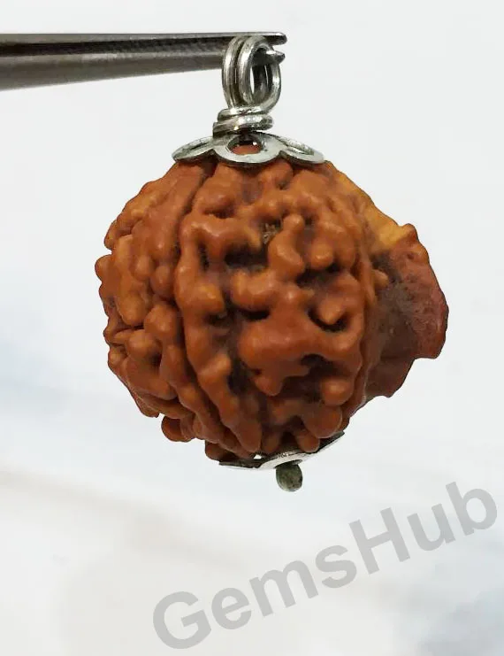 Natural Nepali Ganesh Rudraksha Pendant with Silver (Chandi) Capping