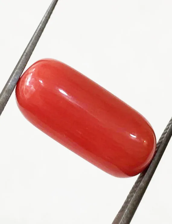 8.37 Ratti (7.53 ct) Natural Certified Moonga/Coral