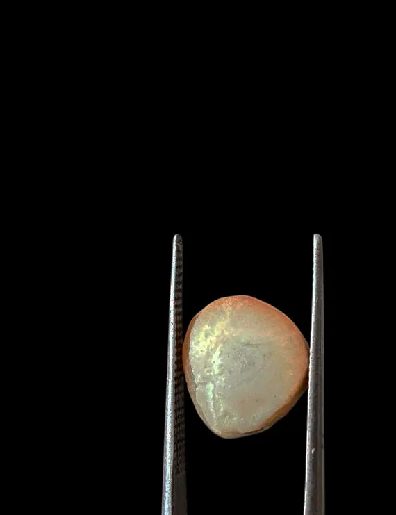 Machmani Stone, मकरधवज रत्न, मछ मणि, Muktamani, Weight  5.00 ct