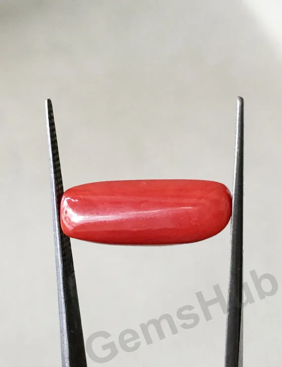 7.00 Ratti (6.29 ct) Natural Certified Moonga/Coral