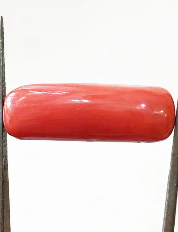 10.08 Ratti (9.08 ct) Natural Certified Moonga/Coral