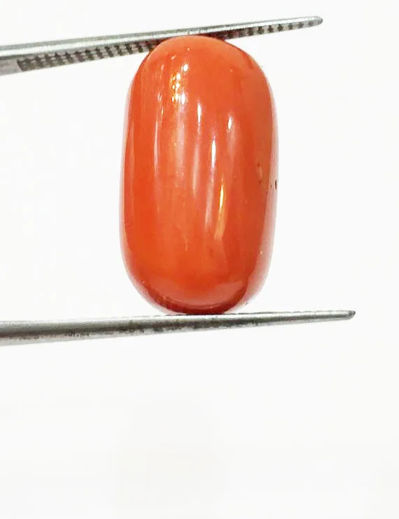 14.25 Ratti Natural Certified Moonga Coral