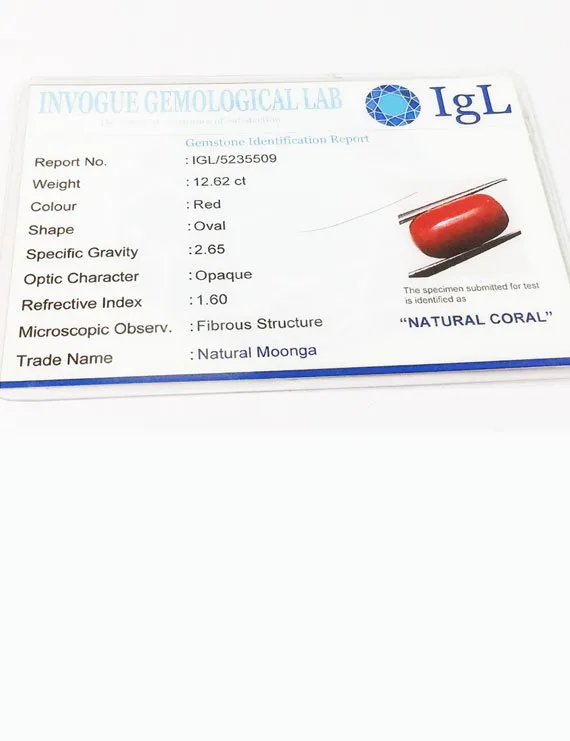 14.25 Ratti Natural Certified Moonga Coral