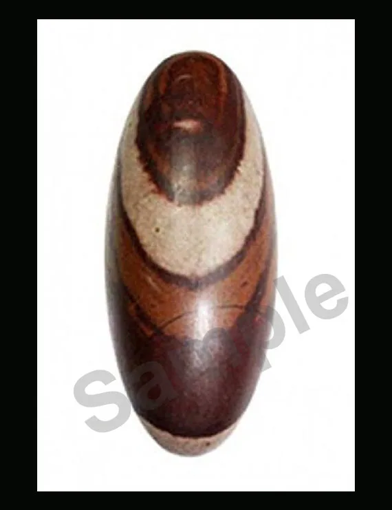 Original Natural Narmadeshwar Shivling | Certified 2 Inch Narmadeshwar Shiva Lingam