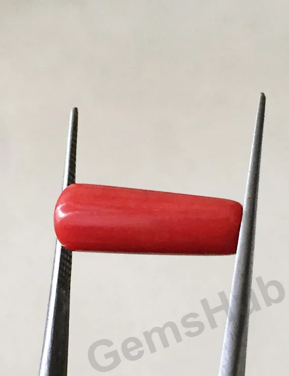 7.40 Ratti (6.67 ct) Natural Certified Red Coral (Moonga)