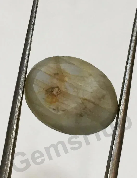 10.00 Ratti (9.02 Ct) Natural Chrysoberyl Cat's Eye (Lehsunia) | Certified Gemstone