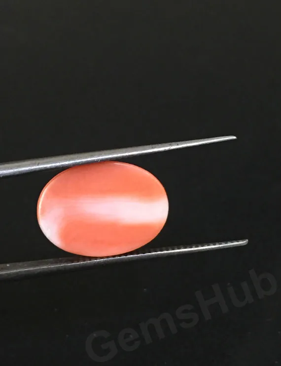 4.72 Ct Natural Japanese Moonga Coral – Certified Gemstone