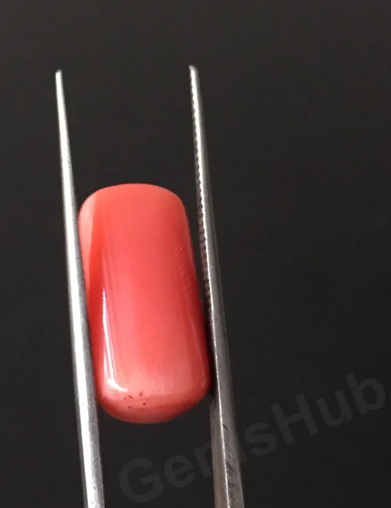 15.00 Ratti (13.45 Ct) Natural Certified Moonga Coral