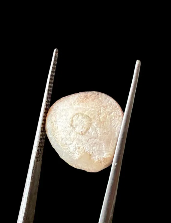 Machmani Stone, मकरधवज रत्न, मछ मणि, Muktamani, Weight  7.00 ct