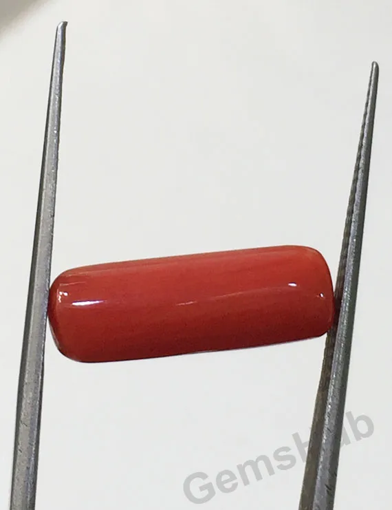 4.59 ct Natural Certified Red Coral (Moonga)