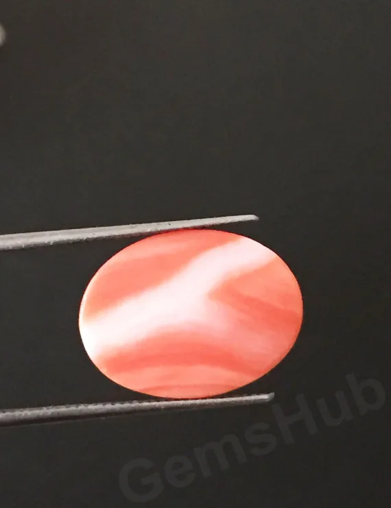 6.22 ct Natural Certified Japanese Red Coral (Moonga)