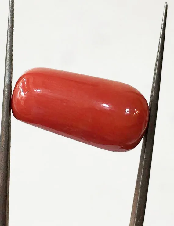 15.53 Ratti (13.98 ct) Natural Certified Moonga/Coral