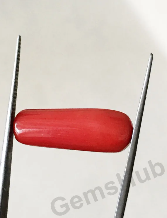 8.90 Ratti (8.01 ct) Natural Certified Red Coral (Moonga)