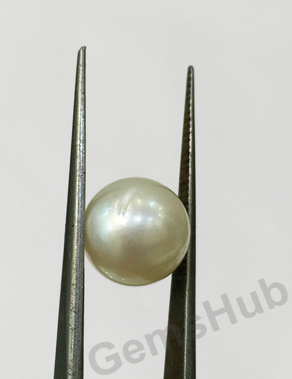 South Sea Pearl - 5.84 ct (6.50 ratti)