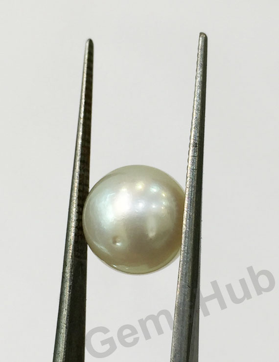 South Sea Pearl - 5.84 ct (6.50 ratti)