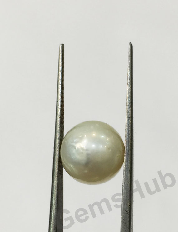 South Sea Pearl - 5.92 ct (6.50 ratti)