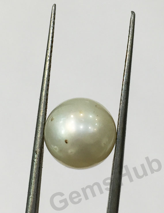 South Sea Pearl - 5.92 ct (6.50 ratti)