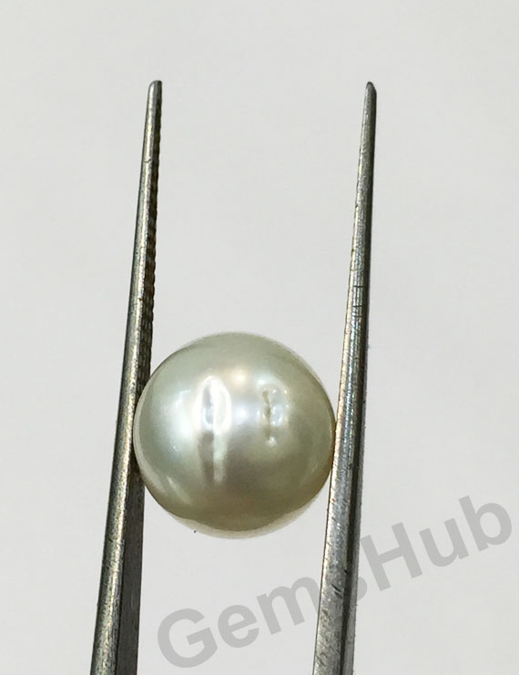 South Sea Pearl - 6.50 ct (7.25 ratti)