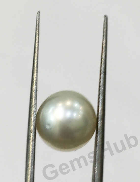 South Sea Pearl - 6.50 ct (7.25 ratti)