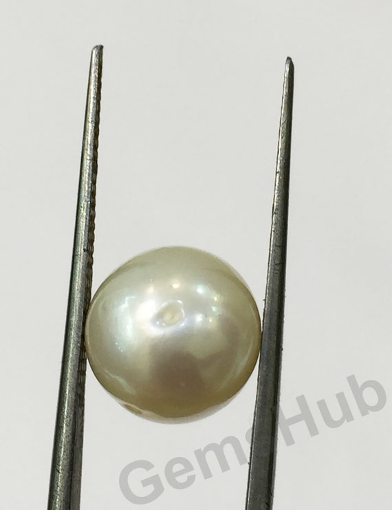 South Sea Pearl - 6.00 ct (6.50 ratti)