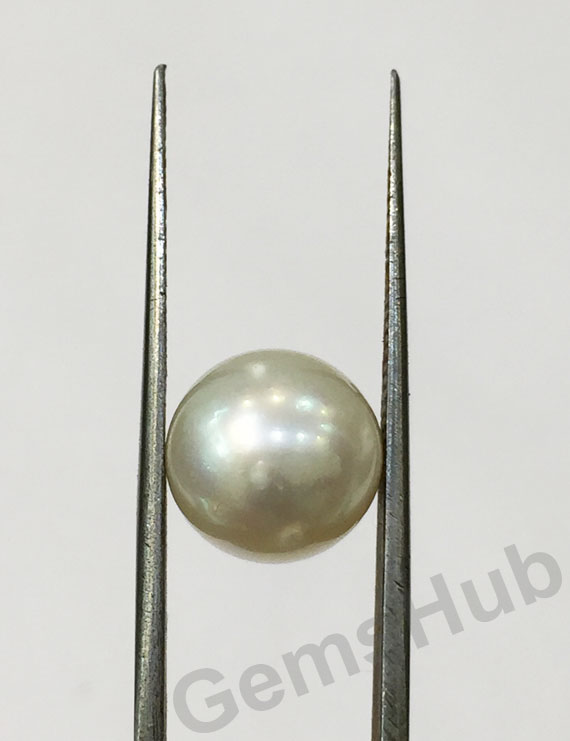 South Sea Pearl - 7.06 ct (7.90 ratti)