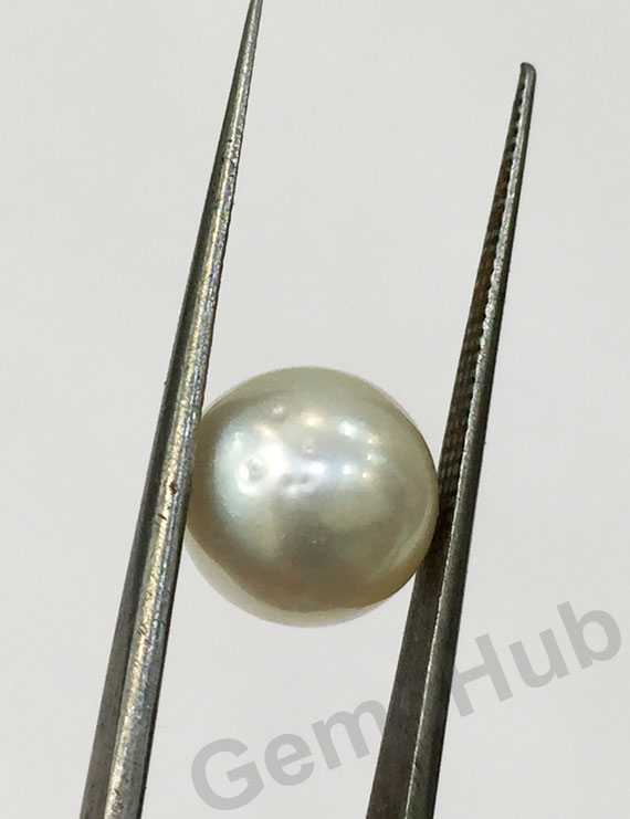 South Sea Pearl - 7.06 ct (7.90 ratti)