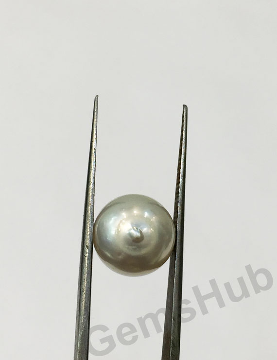 South Sea Pearl - 8.07 ct (9.00 ratti)