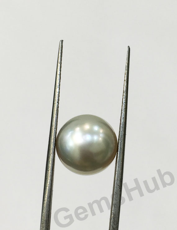 South Sea Pearl - 8.07 ct (9.00 ratti)