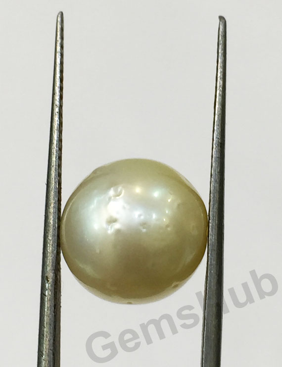 South Sea Pearl - 8.72 ct (9.60 ratti)