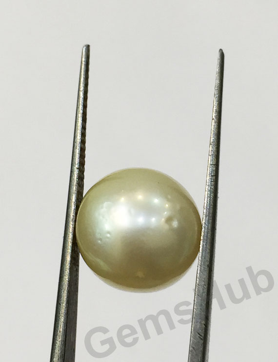 South Sea Pearl - 8.72 ct (9.60 ratti)