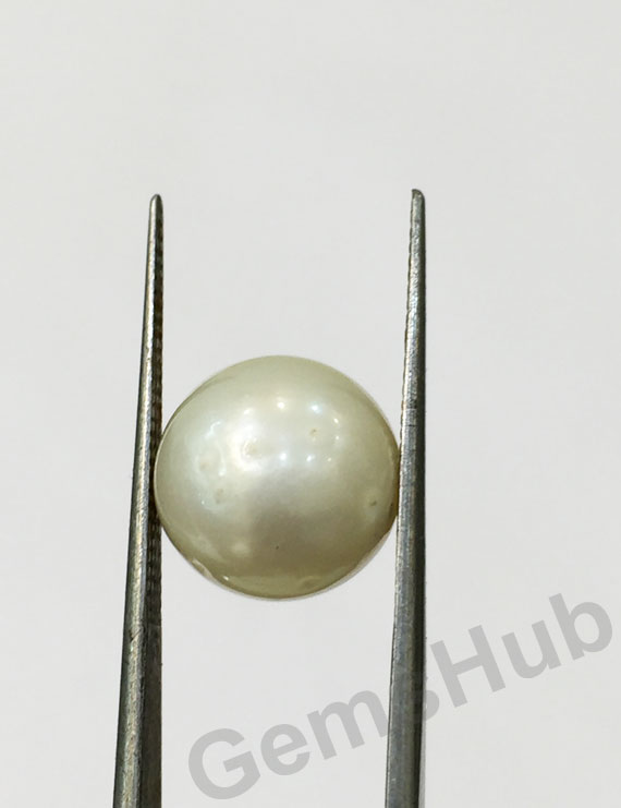 South Sea Pearl - 8.98 ct (10.00 ratti)