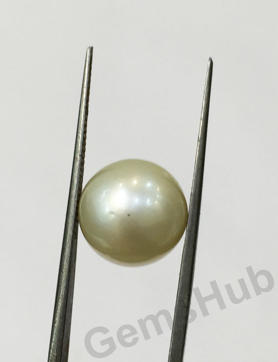 South Sea Pearl - 9.29 ct (10.25 ratti)