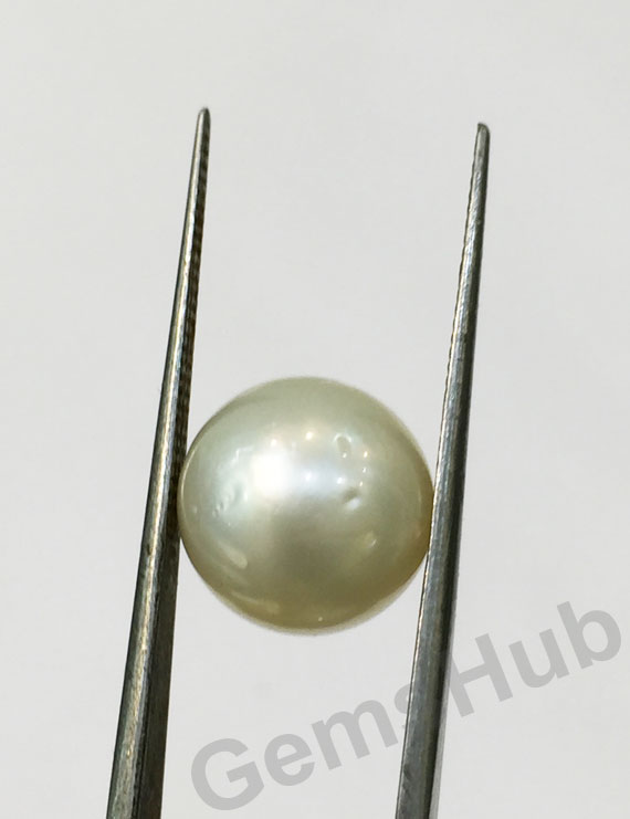 South Sea Pearl - 9.66 ct (10.65 ratti)