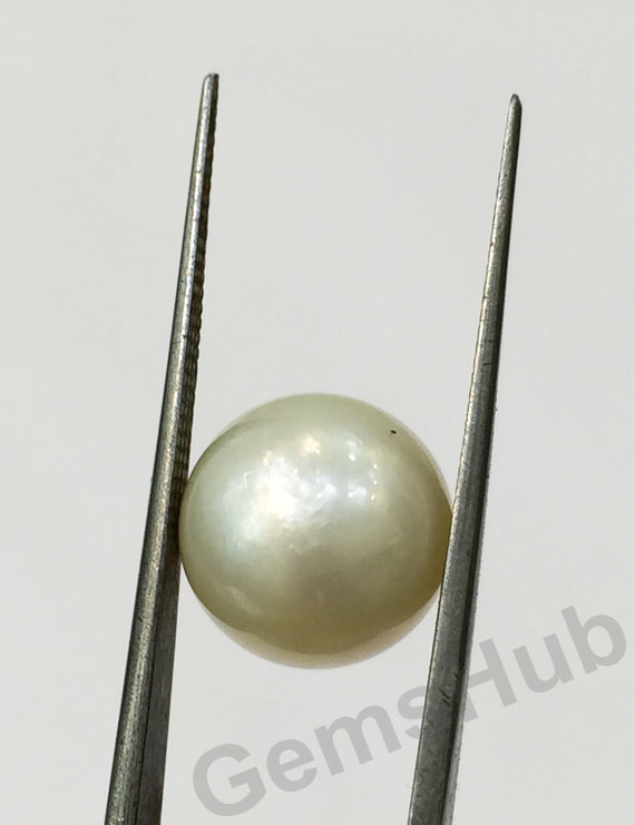 South Sea Pearl - 10.93 ct (12.25 ratti)