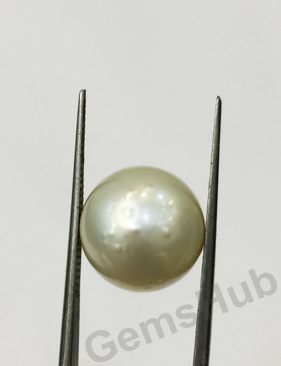 South Sea Pearl - 11.75 ct (13.00 ratti)