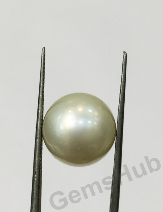 South Sea Pearl - 11.75 ct (13.00 ratti)