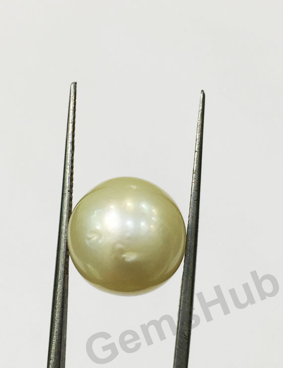 South Sea Pearl - 11.80 ct (13.11 ratti)