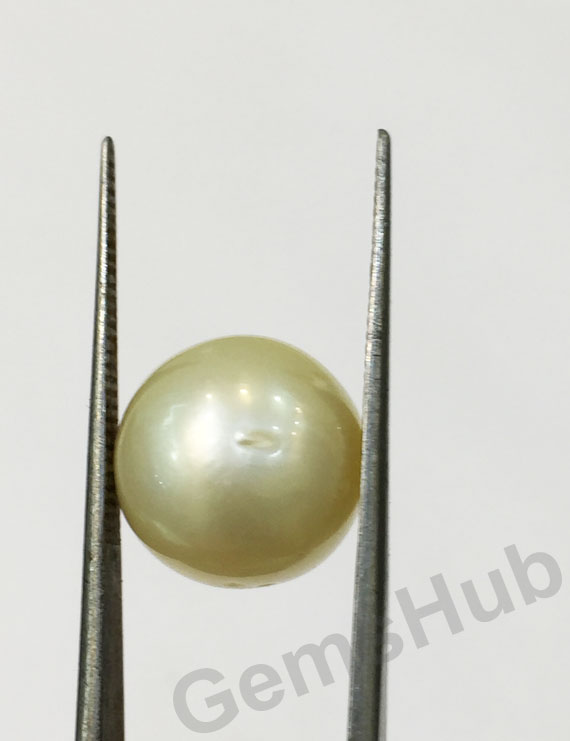 South Sea Pearl - 11.80 ct (13.11 ratti)