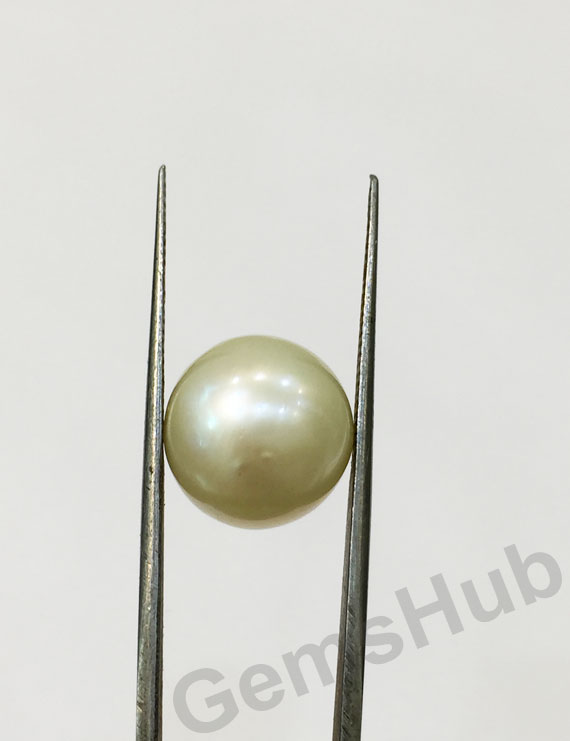 South Sea Pearl - 12.64 ct (14.00 ratti)