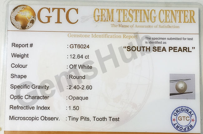 South Sea Pearl - 12.64 ct (14.00 ratti)
