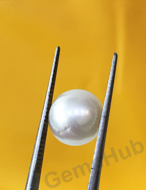 South Sea Pearl - 4.30 ct (4.80 ratti)
