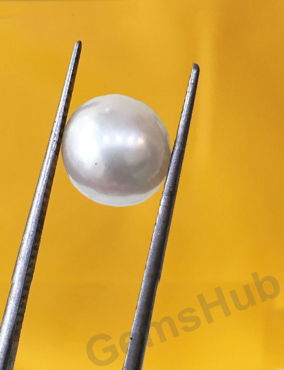 South Sea Pearl - 4.03 ct (4.50 ratti)