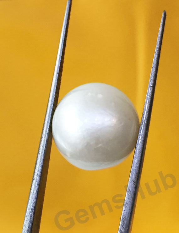 South Sea Pearl - 13.25 ct (14.60 ratti)