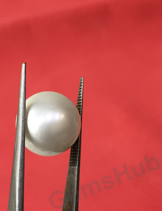 South Sea Pearl - 16.56 ct (18.50 ratti)