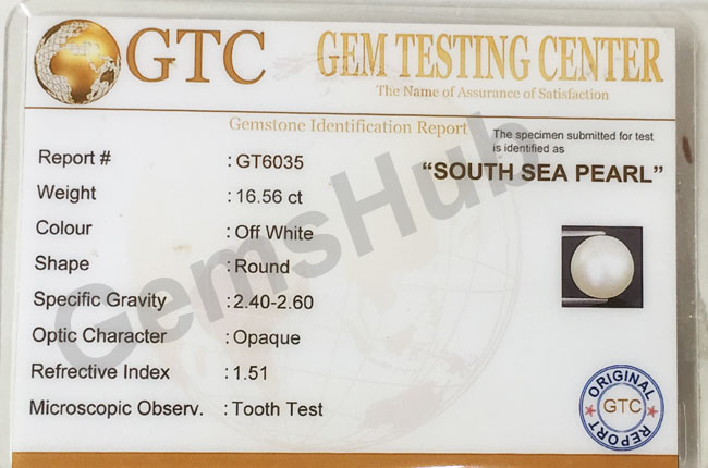 South Sea Pearl - 16.56 ct (18.50 ratti)