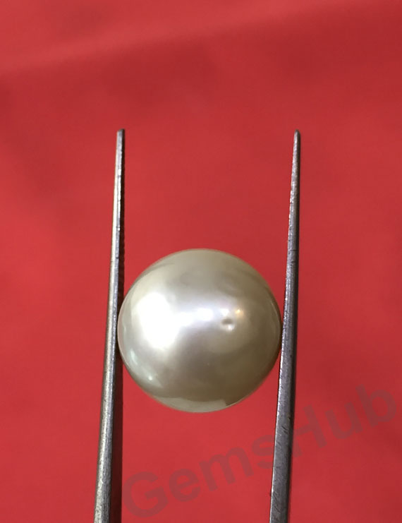 South Sea Pearl - 16.86 ct (18.60 ratti)